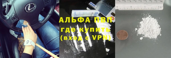 крисы Бородино