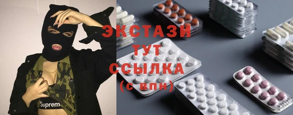 дмт Богородицк