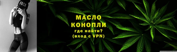 крисы Бородино