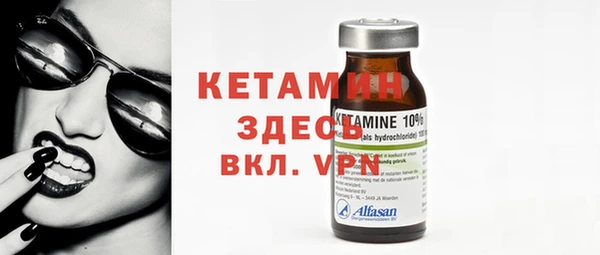 крисы Бородино
