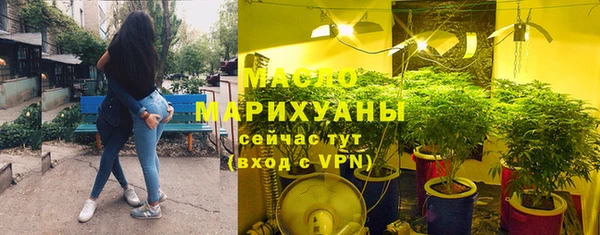 дмт Богородицк