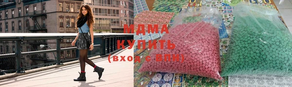 крисы Бородино