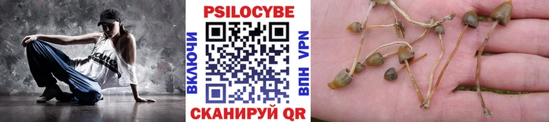 Псилоцибиновые грибы Psilocybe  Дмитровск 